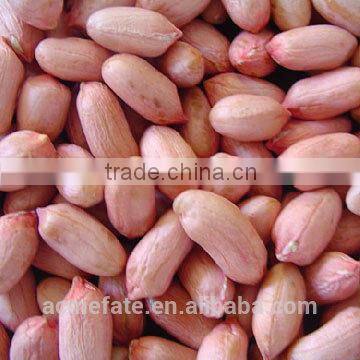 blanched red skin peanut kernels 24/28 28/32 50/60