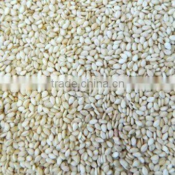 indian origin sesame seed