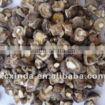 2015 new crop for Tea Flower mushroom