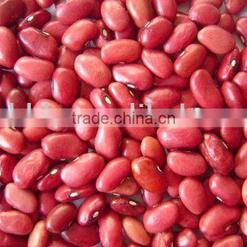 Chinese small red kidney bean