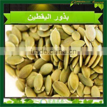 PUMPKIN SEEDS SHINE SKIN PUMPKIN SEEDS SNOW WHITE PUMPKIN SEED KERNELS SHINE SKIN-GRADE AA photo-6