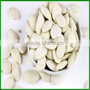 Sale Best Quality Medium Size Roasted and Salted Pumpkin Seeds with Great Taste