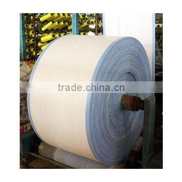 China Woven pp Fabric Roll With High Quality and SGS Certification photo-5