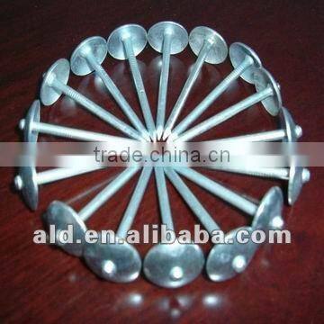 hot sale roofing nail with umbrella