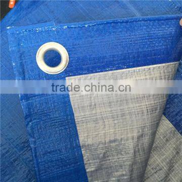 Widely Used Blue pe Tarpaulin Roll photo-5