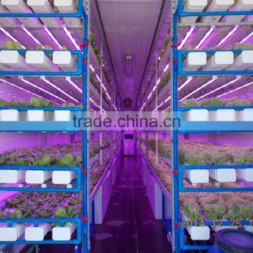 Greenhouse of single Container Plant factory