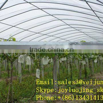 veijun Non-woven fabric fruit cover