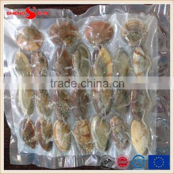 Vacuum -packed Short Necked Clam in Shell photo-6