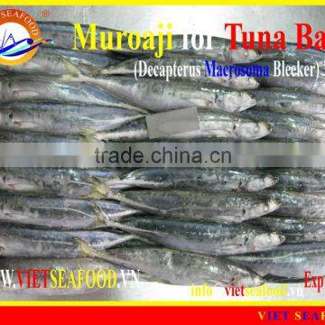 FROZEN W/R MUROAJI FOR TUNA BAIT photo-6