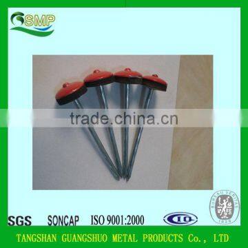 Wholesale Cheap Galvanized steel iron Roofing nail with plastic cap for construction