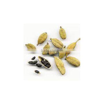 Cardamom Oil photo-3