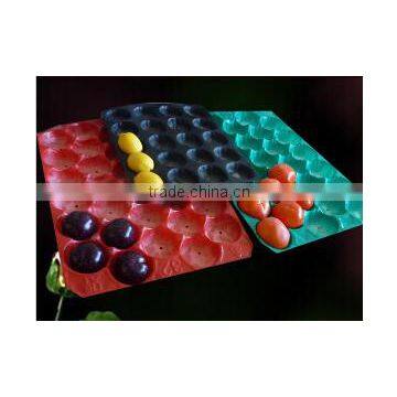 Plastic Fruit Tray Displaying Fruit photo-6