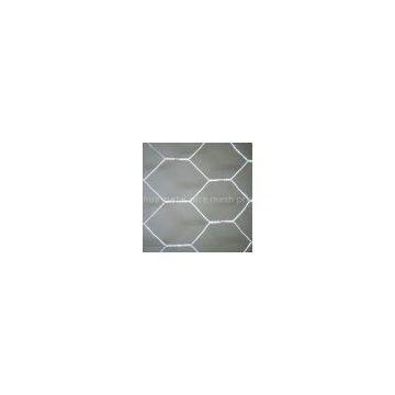 Hexagonal Wire Netting