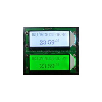 12848 graphics dot matrix module
