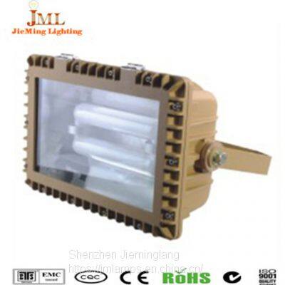 Outdoor Waterproof Explosion-proof Lights 30W 50W Anti-explosion Lamp 80W 60W Safety Lamp 100W 120W 135W photo-4
