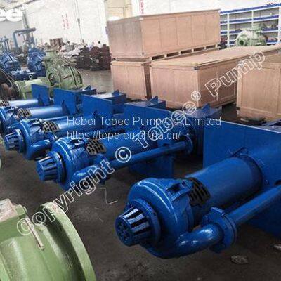 65QV SP Vertical Cantilever Sump Slurry Pump