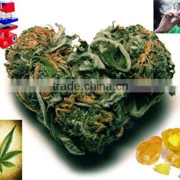 1800 to 3000 PSI Small Machine Pneumatic Rosin Press photo-2