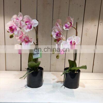 Amazon hot sale Beautiful decorative realistic artificial plastic fake orchid plants for restaurants