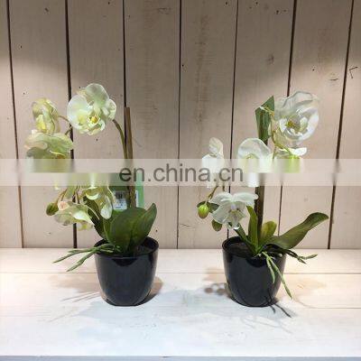 Amazon Hot Sale Beautiful Decorative Realistic Artificial Plastic Fake Orchid Plants for Restaurants photo-2