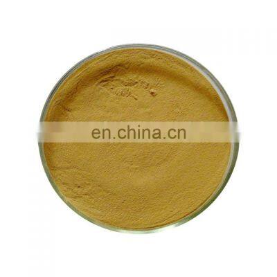 Hot Sale Natural Nettle Root Extract Powder photo-3