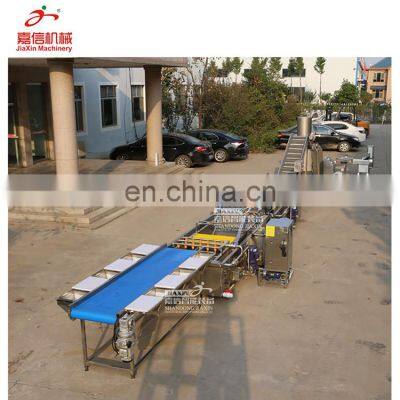 304 Stainless Steel Vegetable Process Machinery