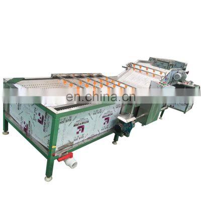 Industrial Ozone Strawberry Apple Washing Line Drying Machine Air Bubble Fruit Vegetable Washer