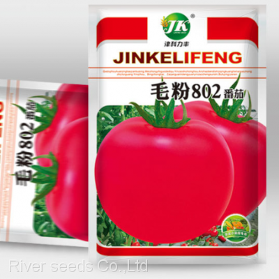 200pcs Bulk Agricultural Vegetable Seeds Supplier Garden Vegetables Hybrid Tomato Seeds for Planting photo-2