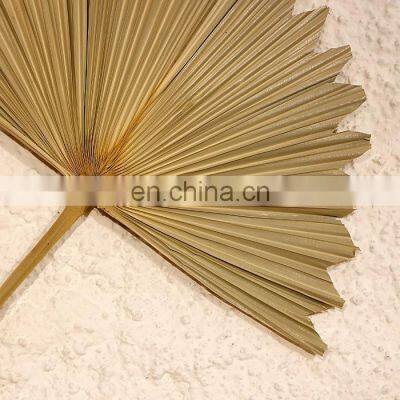 Hot Sale Unique Rustic Palm Leaf Fan Wall Art Traditional Woven Bamboo Wall Hanging Decor Cheap Wholesale in Bulk photo-4