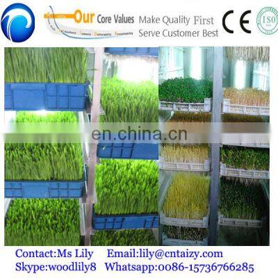 Seed Sprout Machine Barley Sprout Machine photo-3