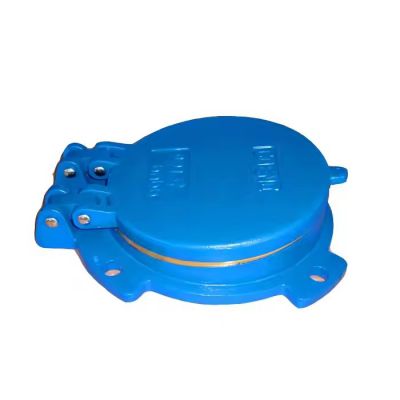 Manufacturers supply Ductile cast iron non return flap valve check valve