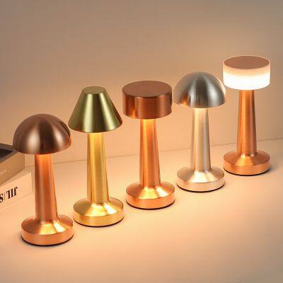 Modern Cordless Small Table Lamp for Bar Restaurant, Rechargeable USB Touch Dimming 3 Light Color Night Light