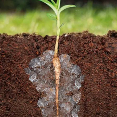 Biodegradable Sap Super Absorbent Polymer Sodium Polyacrylate Hydrogel Water Crystals for agriculture