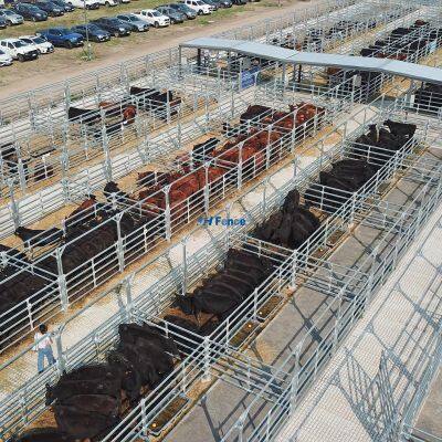 Welded Easily Assembled Horse Farm and Cattle Fencing Durable PVC Coated Panels Livestock Fence photo-5