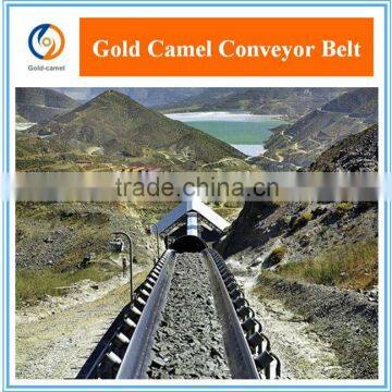 China chemical resistant nylon rubber conveyor belt