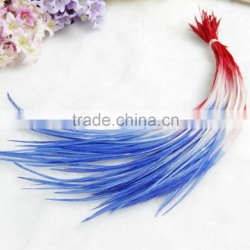 2015 Hot Selling Fashion Real ombre Feather Hair Extension