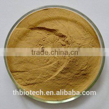 Manufacturer Pure Natural High Quality Ginger Extract, Ginger Root Extract, Ginger Extract Powder photo-2