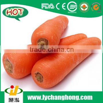 [HOT] chinese fresh carrot/china fresh carrot/2014 fresh carrot