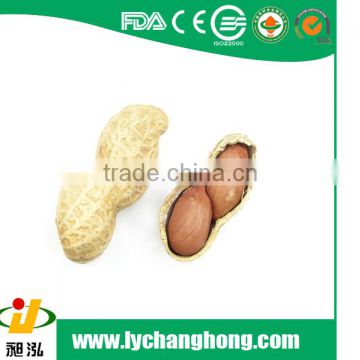 2014 new raw peanut in shell size 9/11 with high quality