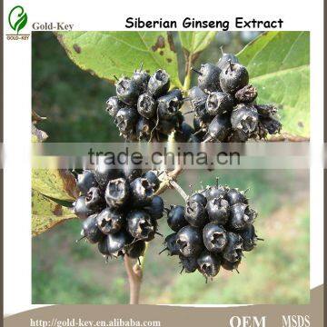 100% Natural Siberian Ginseng Extract,Siberian Ginseng Extract 0.8%/1.2% Eleutheroside B+E,0.8%/1.2% Eleutheroside B+E' photo-3