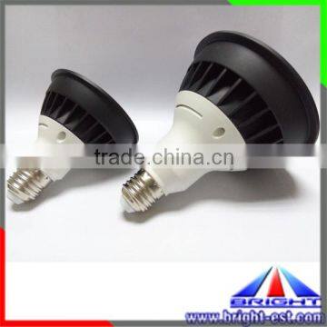 New!!!Epistar LED PAR 30 Green Spot Light,D95mm Directional Spot Light,100-240V AC 12W Par 30 LED Par Light photo-4