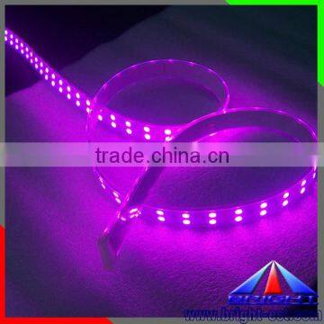 365-405nm UV Led Strip 5050, Black Light UV Strip Led,UV Led Rope Light photo-5