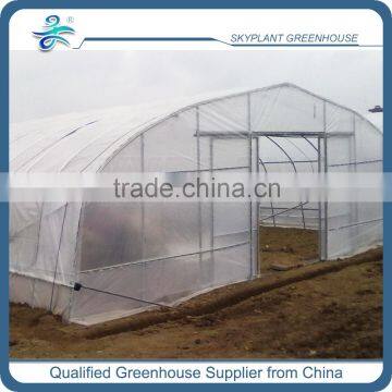 SP-GT-8 Gothic tunnel poly greenhouse ,span greenhouse