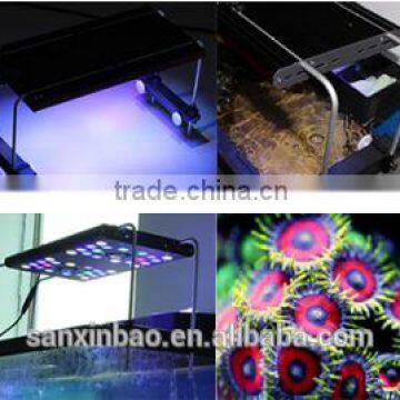 6 channels programmable EverGrow IT5012 led aquarium light