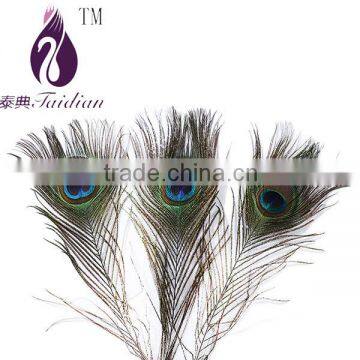 natural Peacock feathers,plume feathers for decoration