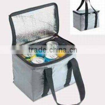 GuangZhou Eco-friendly pp non-woven cooler bag