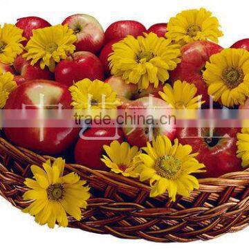 2013 Custom handmade Wicker Crafts fruit basket