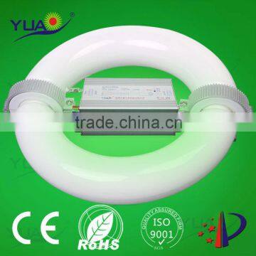 factory price low frequency ballast and induction lamp