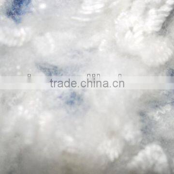 Polyester Staple Fiber