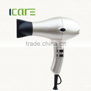 Professional Compact AC Hair Dryer