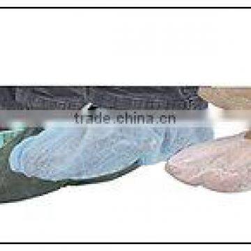 Non-woven Shoe Cover